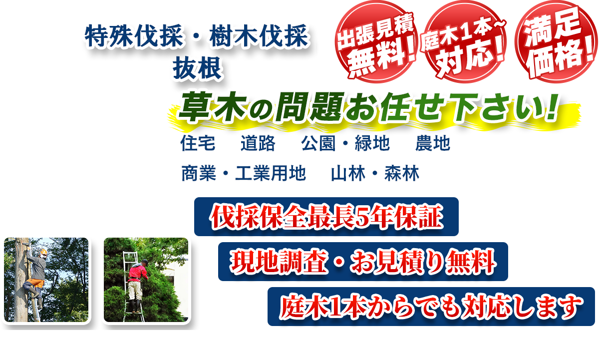 筑西市エリア即対応!! 出張無料! 庭木1本~対応! 満足価格! 植木剪定・生垣刈込 樹木伐採・伐根 草木の問題お任せ下さい! 住宅 道路 公園・緑地 農地 商業・工業用他 山林・森林 伐採保全最長5年保証 現地調査・お見積り無料 庭木1本からでも対応します